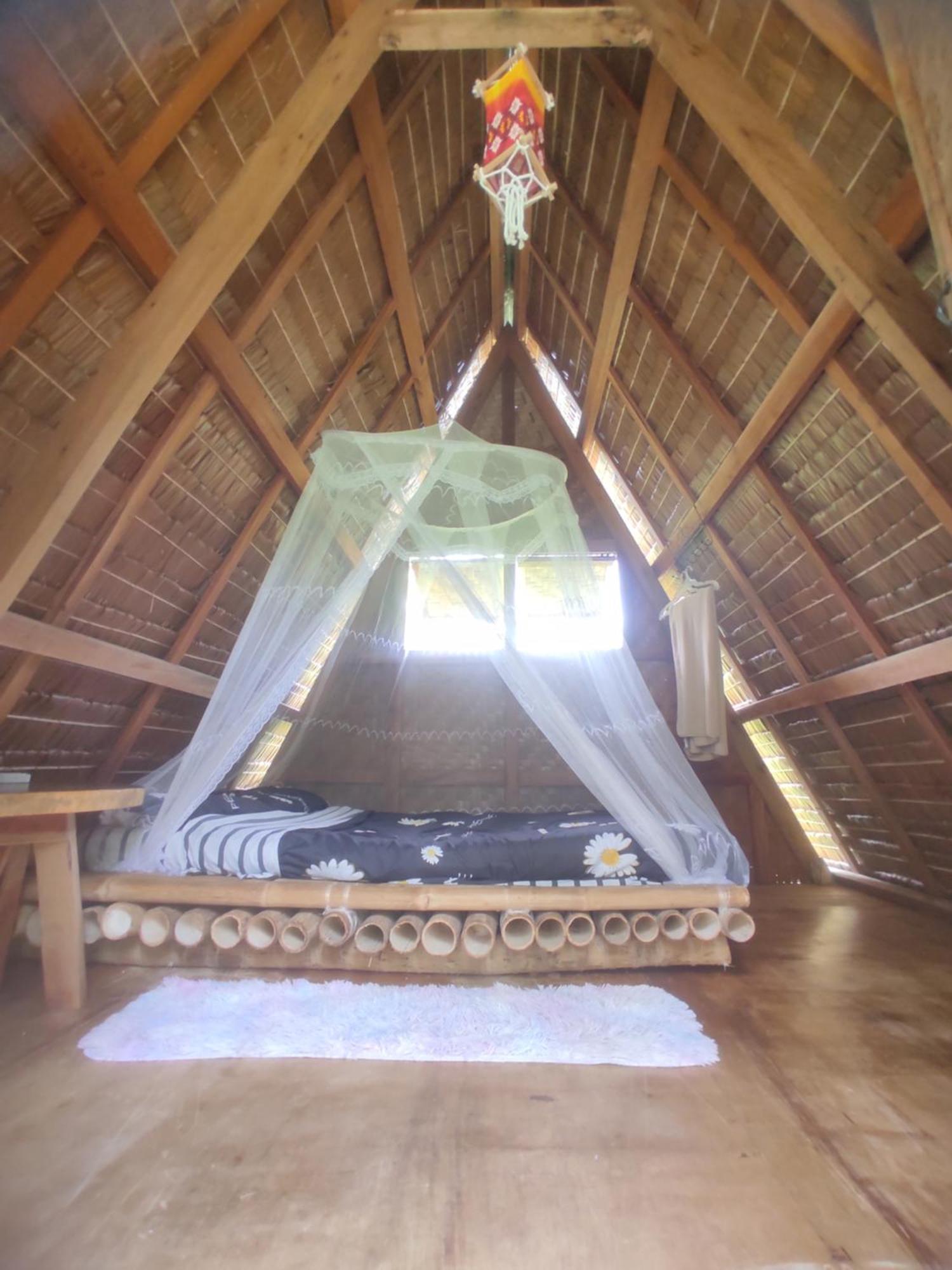 Firefly Treehouse Cafe And Bar Hotell Lazi Exteriör bild